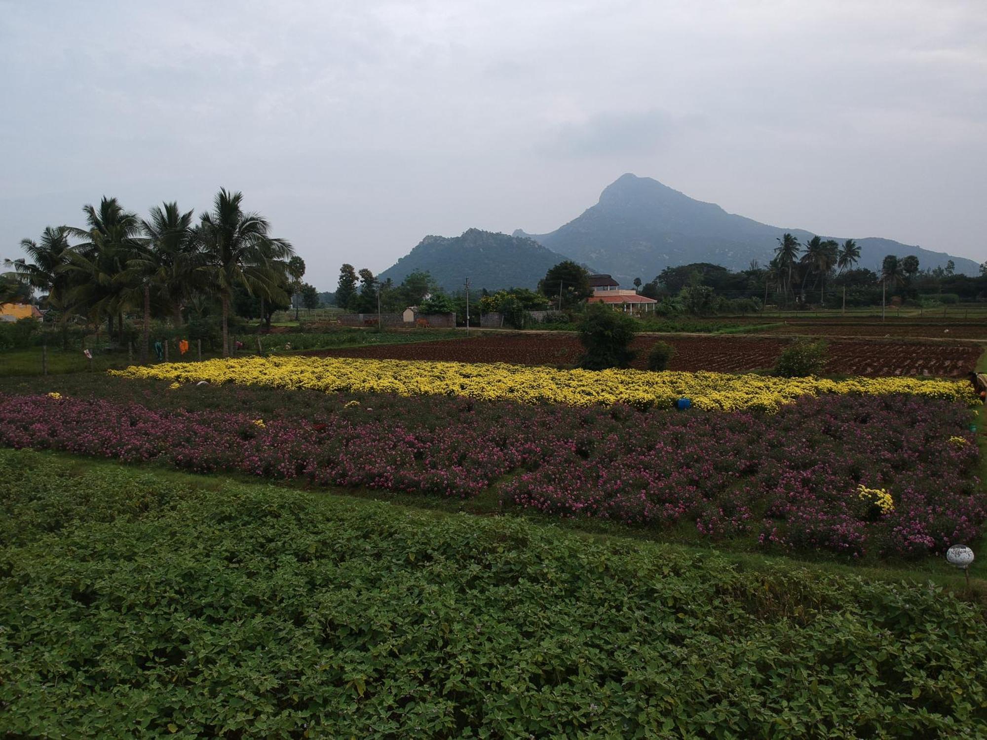Rpm Home Stay Tiruvannāmalai 外观 照片